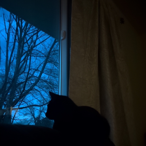 Meet your Posher - Picture 1 of 1